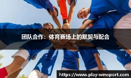 完美体育官网
